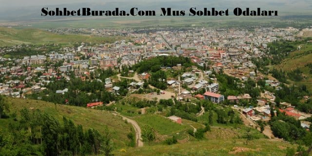 Muş Mobil Chat Sohbet